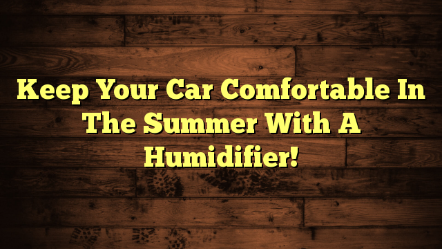 Keep Your Car Comfortable In The Summer With A Humidifier!