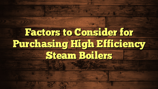 Factors to Consider for Purchasing High Efficiency Steam Boilers